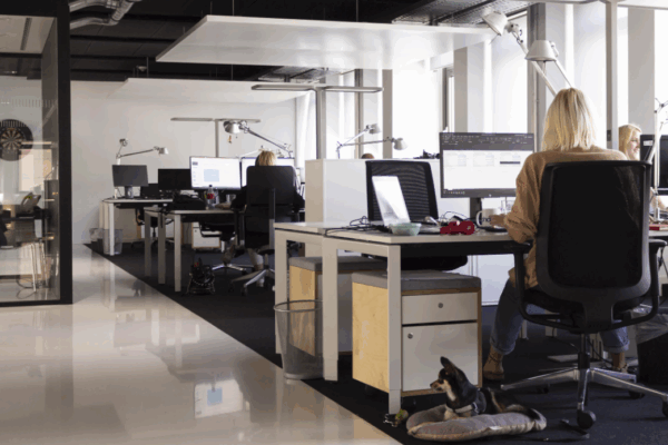 Helle, geräumige Open-Space-Bürofläche – moderne Arbeitsumgebung mit viel Tageslicht, offener Kommunikation und kollaborativer Teamkultur.